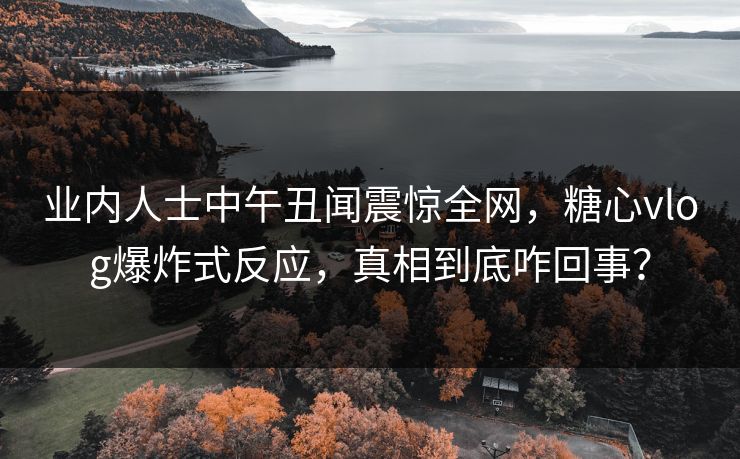 业内人士中午丑闻震惊全网，糖心vlog爆炸式反应，真相到底咋回事？